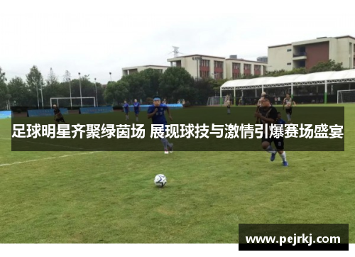 足球明星齐聚绿茵场 展现球技与激情引爆赛场盛宴