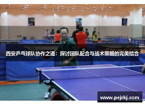 西安乒乓球队协作之道：探讨团队配合与战术策略的完美结合