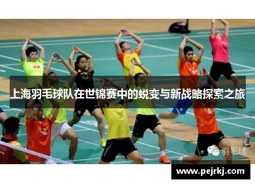 上海羽毛球队在世锦赛中的蜕变与新战略探索之旅