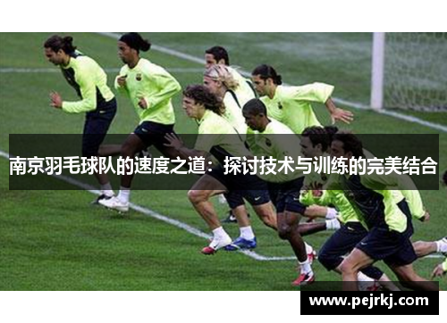 南京羽毛球队的速度之道：探讨技术与训练的完美结合