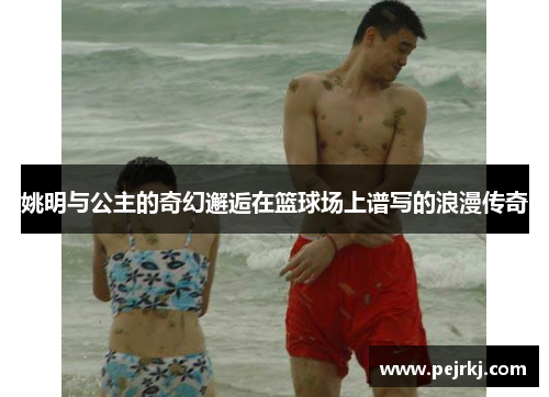 姚明与公主的奇幻邂逅在篮球场上谱写的浪漫传奇