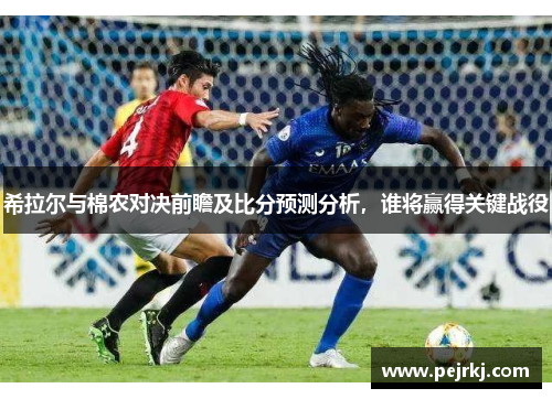 希拉尔与棉农对决前瞻及比分预测分析，谁将赢得关键战役