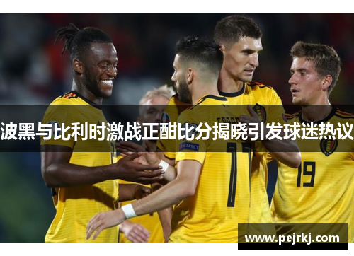 波黑与比利时激战正酣比分揭晓引发球迷热议